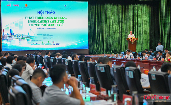 Đà Nẵng đề nghị đẩy nhanh tiến độ Dự án Nhà máy nhiệt điện LNG Hòa Ninh.