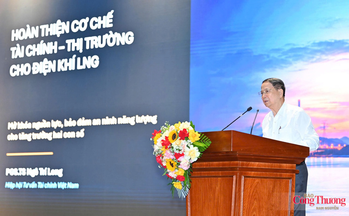 PGS.TS Ngô Trí Long, Hiệp hội Tư vấn Tài chính Việt Nam tham luận với chủ đề: “Hoàn thiện chính sách LNG: Bước ngoặt lớn góp phần tạo nên sự phát triển năng lượng bền vững và phát triển kinh tế hai con số”.