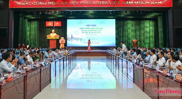 Hội thảo có sự tham dự của hơn 200 đại biểu đại diện các cơ quan Trung ương, địa phương; các tập đoàn, nhà đầu tư về điện khí LNG, cùng các chuyên gia kinh tế - năng lượng, đại diện tổ chức tài chính, ngân hàng và các cơ quan thông tấn báo chí.