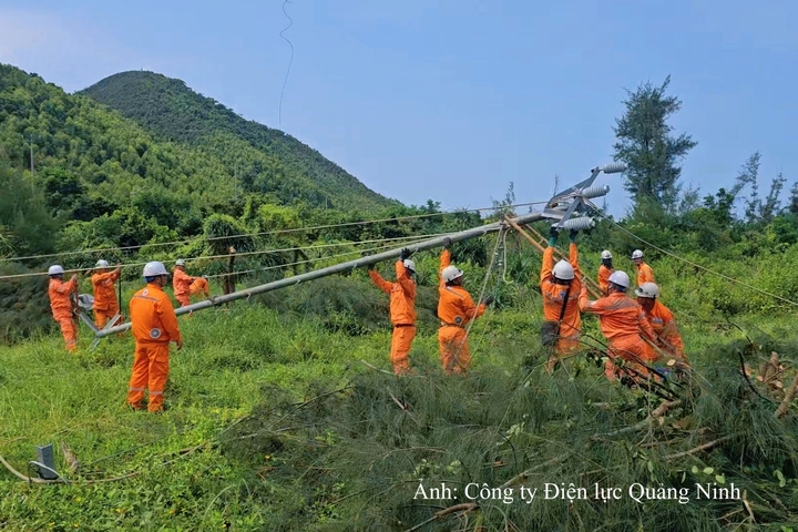 Nhân viên CTĐL Quảng Ninh xử lý tình huống giả định sự cố gãy cột 144, nghiêng cột 143, đứt dây dẫn 3 pha khoảng cột 143-144 nhánh 475 Quan Lạn.
