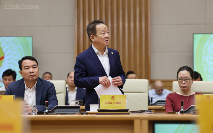 Chủ tịch Điều hành T&T Group Đỗ Quang Hiển phát biểu - Ảnh: chinhphu.vn/Phương Nguyên