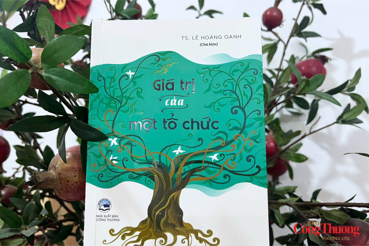 Cuốn sách "Giá trị của một tổ chức" do Tiến sĩ Lê Hoàng Oanh, Cục trưởng Cục Thương mại điện tử và Kinh tế số, Bộ Công Thương chủ biên.