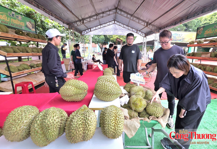 Khu trưng bày quy tụ 400 gian hàng của hơn 160 đơn vị trong và ngoài nước.