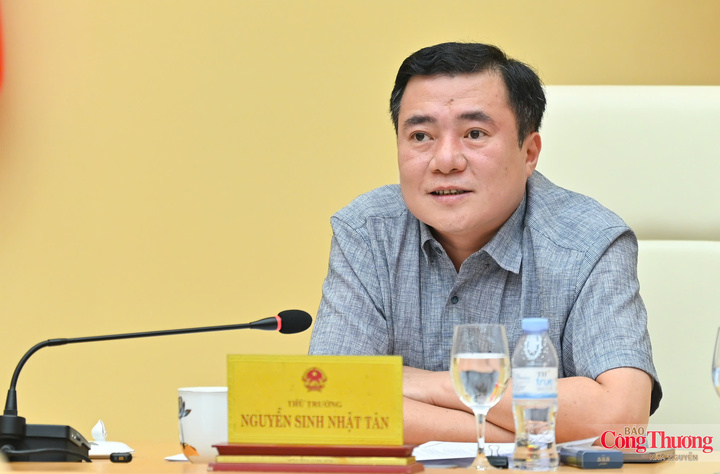 Thứ trưởng Nguyễn Sinh Nhật Tân phát biểu khai mạc cuộc họp.