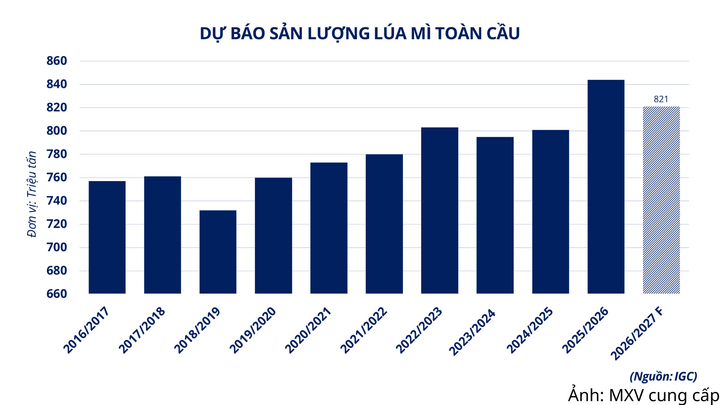 Dự báo sản lượng lúa mì toàn cầu