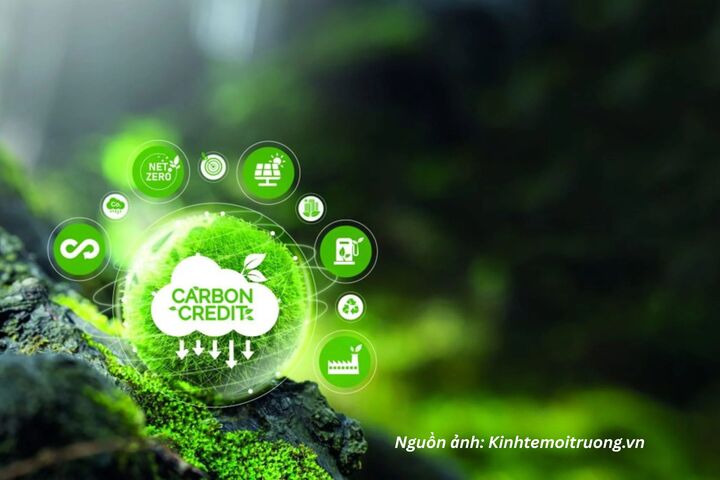 Thị trường carbon không phải là rào cản chi phí, mà là cánh cửa mở ra phương thức quản trị mới cho doanh nghiệp Việt.