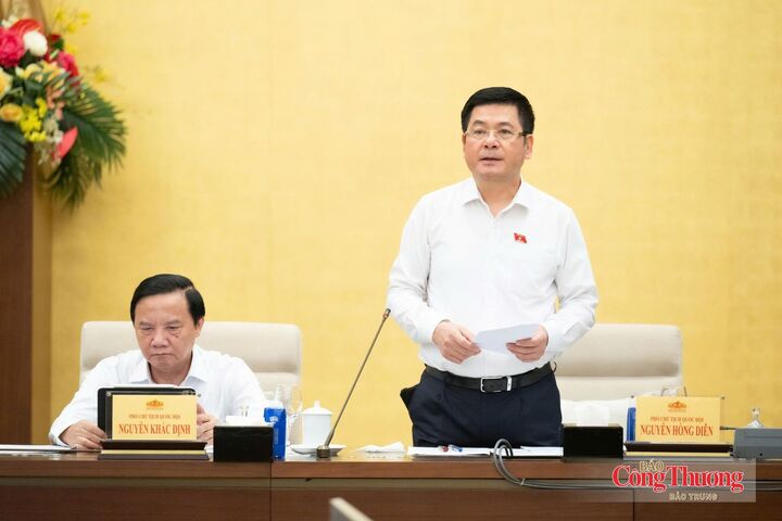 Phó Chủ tịch Quốc hội Nguyễn Hồng Diên phát biểu kết luận phiên họp.