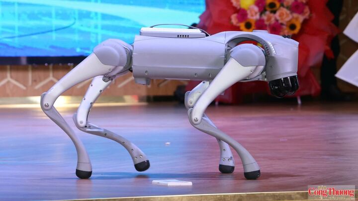 Robot, trí tuệ nhân tạo và tự động hóa được nghiên cứu, ứng dụng phù hợp nhu cầu sản xuất của Đồng bằng sông Cửu Long và cả nước.