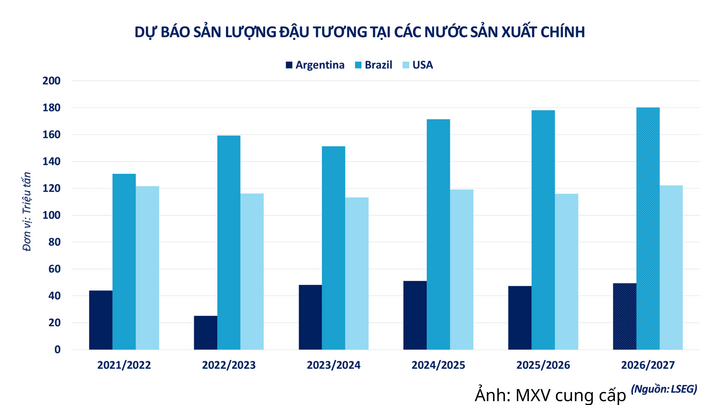 Dự báo sản lượng đậu tương của các nước sản xuất chính.