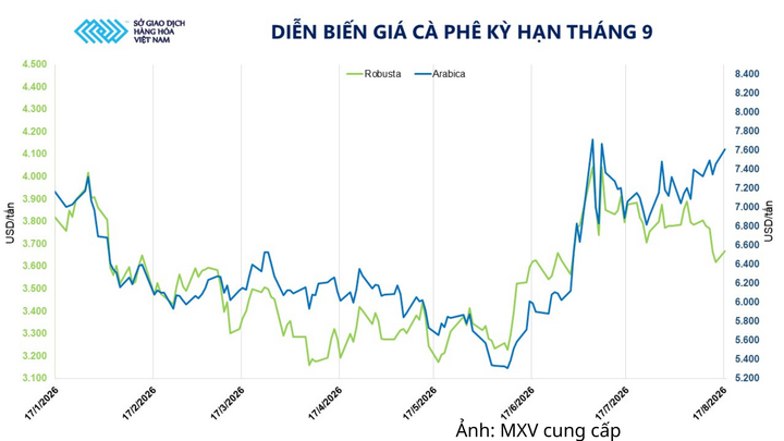 Diễn biến giá cà phê kỳ hạn tháng 9.