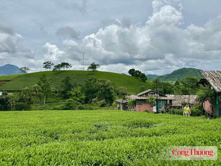 Lợi thế từ cảnh quan, văn hóa và tri thức bản địa, Minh Đài có tiềm năng để phát triển những sản phẩm mang dấu ấn riêng
