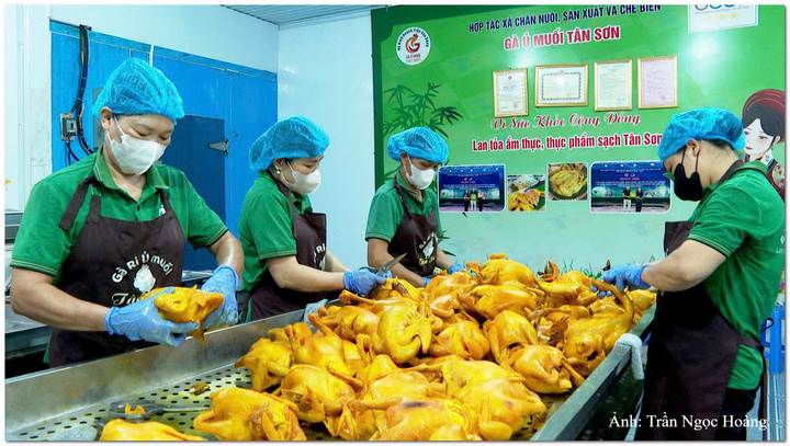 Sản phẩm gà ủ muối góp phần đưa những đặc sản của địa phương đến gần hơn với thị trường