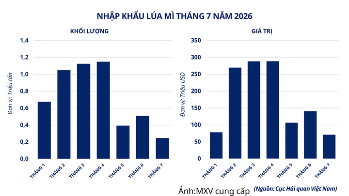 Nhập khẩu lúa mì của Việt Nam tháng 7/2026.
