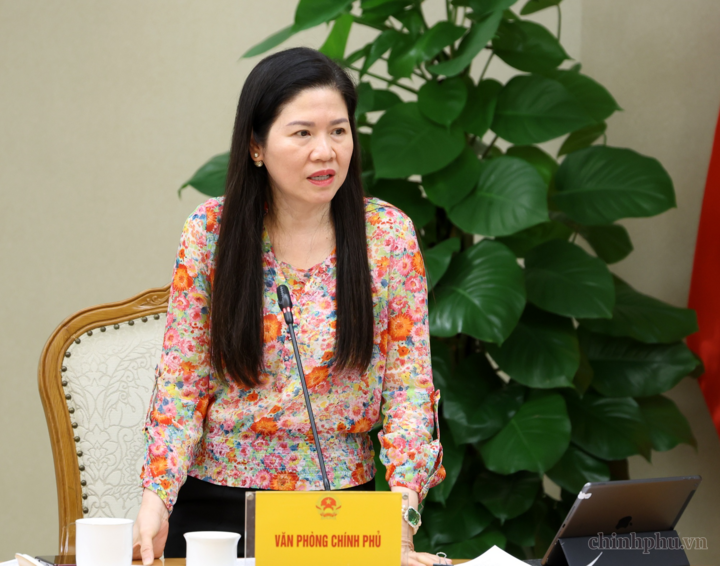 Phó Chủ nhiệm Văn phòng Chính phủ Mai Thị Thu Vân phát biểu - Ảnh: chinhphu.vn/Đức Tuân
