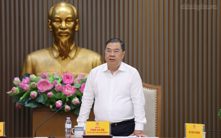 Phó Thủ tướng Thường trực Phạm Gia Túc phát biểu tại buổi làm việc - Ảnh: chinhphu.vn/Phương Nguyên