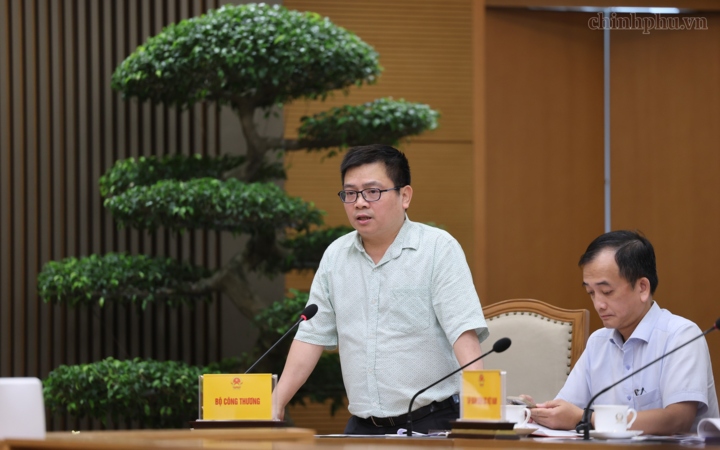 Thứ trưởng Bộ Công Thương Trương Thanh Hoài phát biểu - Ảnh: chinhphu.vn/Phương Nguyên