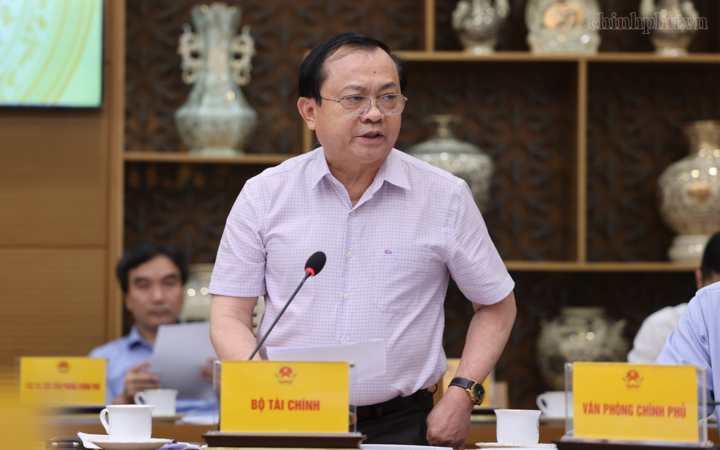 Thứ trưởng Bộ Tài chính Lê Tấn Cận phát biểu - Ảnh: chinhphu.vn/Phương Nguyên