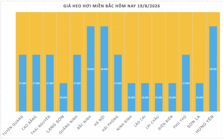 Giá heo hơi hôm nay 19/8/2026: Đảo chiều, tăng 1.000 đồng/kg - 1