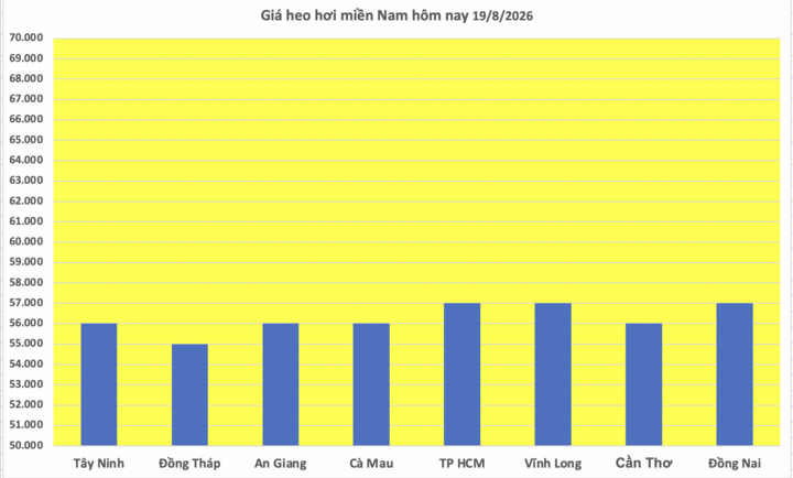 Giá heo hơi hôm nay 19/8/2026: Đảo chiều, tăng 1.000 đồng/kg - 3