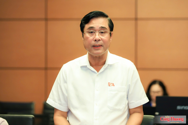 Đại biểu Nguyễn Cao Sơn - đoàn Phú Thọ
