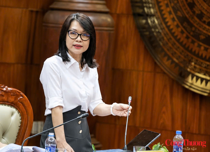 Thứ trưởng Bộ Công Thương Phan Thị Thắng làm việc với tỉnh Đồng Tháp - 7