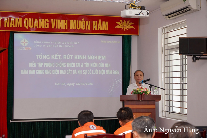 Ông Vũ Anh Phương - Phó Tổng Giám đốc Tổng công ty Điện lực miền Bắc phát biểu tổng kết và rút kinh nghiệm sau buổi diễn tập