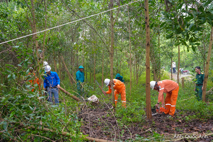Ngành điện ra quân phát quang hành lang an toàn lưới điện năm 2026.