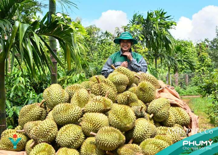 Bức ảnh tham gia Triển lãm ảnh nghệ thuật “Nữ hoàng của đại ngàn xanh”. Ảnh: PVFCCo