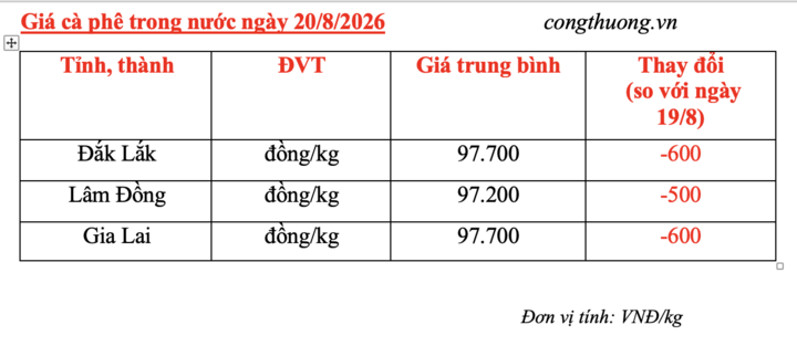 Giá cà phê hôm nay 20/8/2026: Giảm nhẹ 500 - 600 đồng/kg - 4