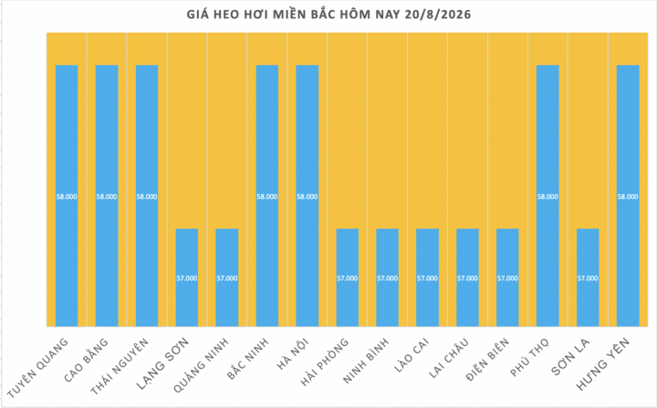 Giá heo hơi hôm nay 20/8/2026: Tăng đồng loạt trên cả 3 miền - 1