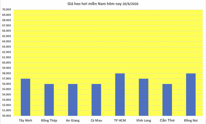Giá heo hơi hôm nay 20/8/2026: Tăng đồng loạt trên cả 3 miền - 3