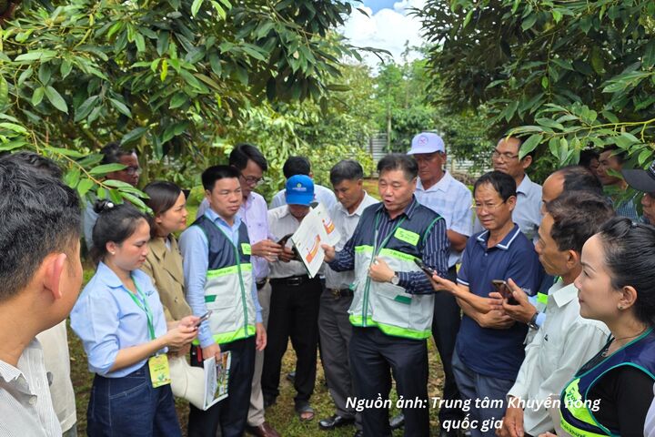 TS. Lê Quốc Thanh, Giám đốc Trung tâm Khuyến nông quốc gia trao đổi với cán bộ khuyến nông cộng đồng về nhiệm vụ cầu nối của lực lượng này trong thực hiện quy định mới về mã số vùng trồng, mã số cơ sở đóng gói.