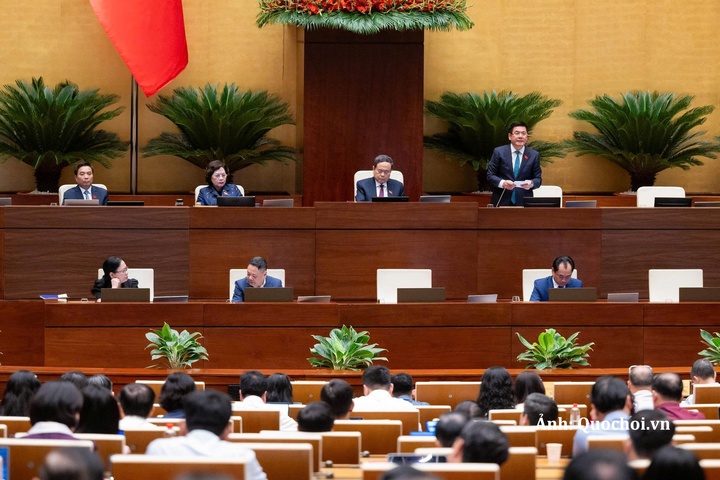 Phó Chủ tịch Quốc hội Nguyễn Hồng Diên phát biểu kết luận nội dung thảo luận.