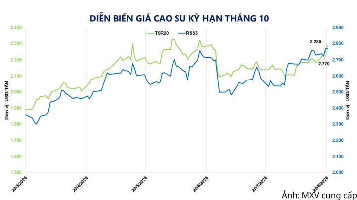 Diễn biến giá cao su kỳ hạn tháng 10