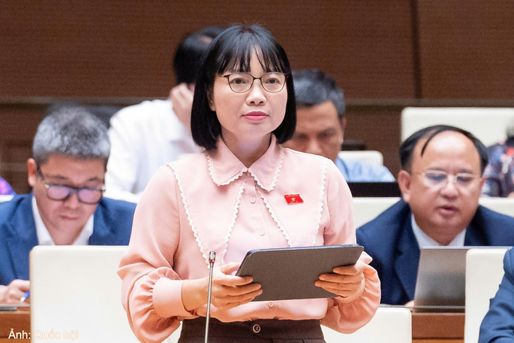 Đại biểu Quốc hội Nguyễn Thị Việt Nga - đoàn Hải Phòng