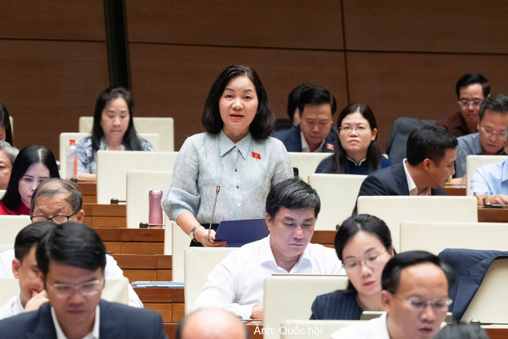 Đại biểu Trương Thị Bích Hạnh - đoàn TP. Hồ Chí Minh