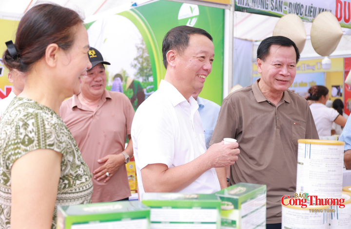 Chủ tịch Hà Tĩnh tham quan Hội chợ sản phẩm công nghiệp nông thôn tiêu biểu - 8