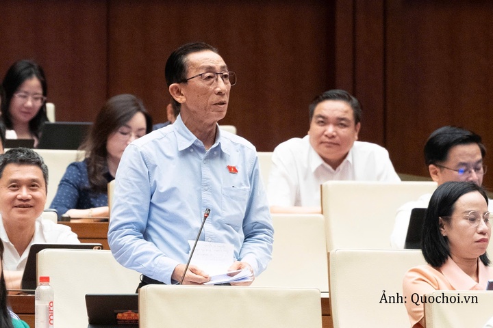 Đại biểu Trần Hoàng Ngân, Đoàn ĐBQH thành phố Hồ Chí Minh phát biểu ý kiến.