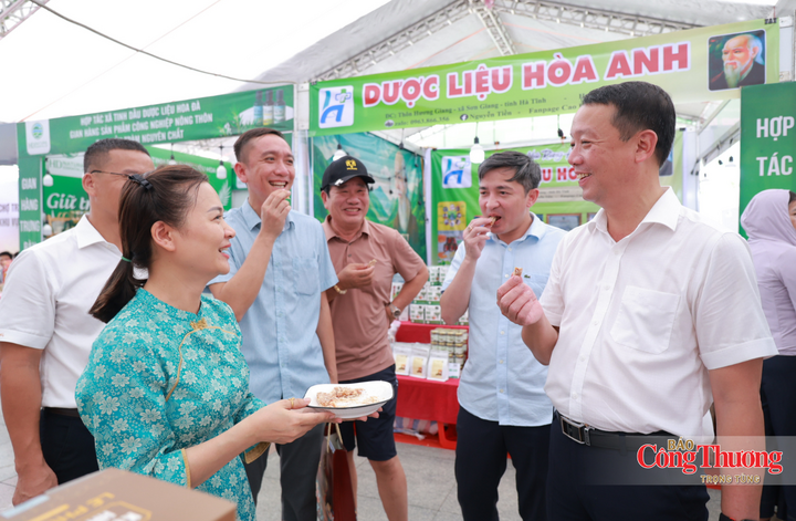 Chủ tịch Hà Tĩnh tham quan Hội chợ sản phẩm công nghiệp nông thôn tiêu biểu - 7