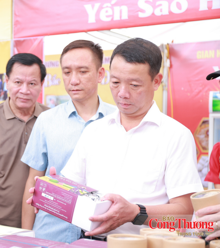 Chủ tịch Hà Tĩnh tham quan Hội chợ sản phẩm công nghiệp nông thôn tiêu biểu - 6