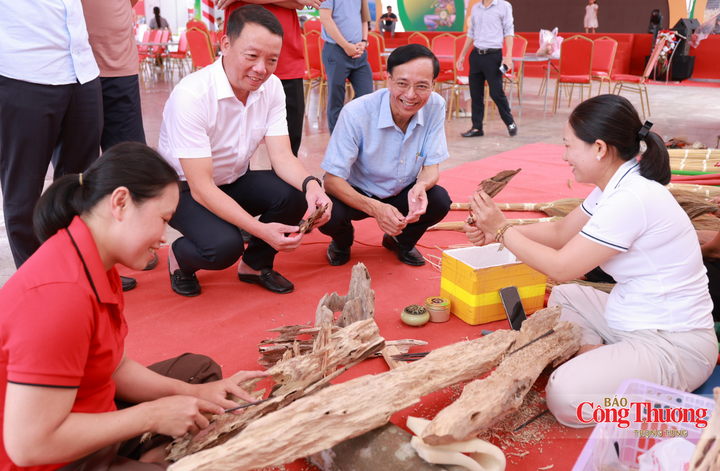 Chủ tịch Hà Tĩnh tham quan Hội chợ sản phẩm công nghiệp nông thôn tiêu biểu - 10