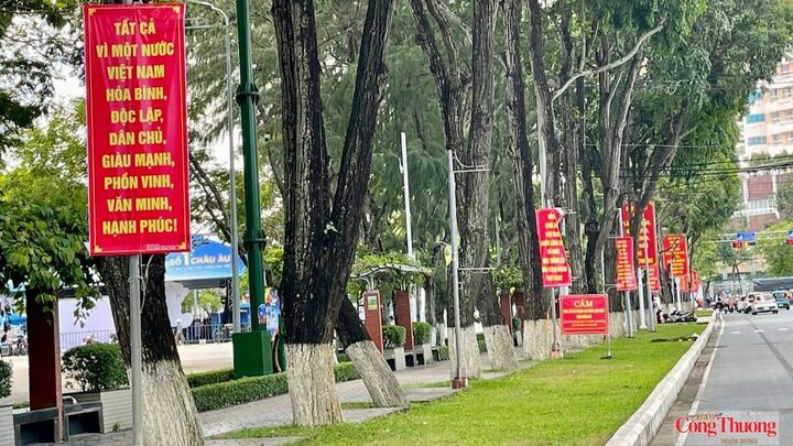 Dọc các tuyến đường, những lá cờ đỏ sao vàng tung bay trong nắng tháng Tám tạo điểm nhấn nổi bật, góp phần làm cho cảnh quan đô thị thêm sinh động.