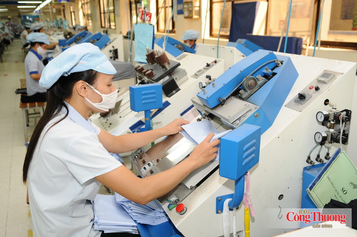 Doanh nghiệp cần có sự chuẩn bị để đáp ứng các tiêu chuẩn mới của EU