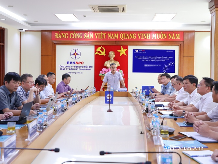 Ông Đinh Thế Phúc - Thành viên Hội đồng thành viên EVN phát biểu chỉ đạo tại buổi làm việc