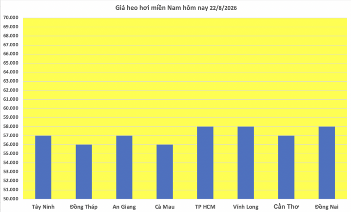 Giá heo hơi hôm nay 22/8/2026: Nối tiếp đà tăng - 3
