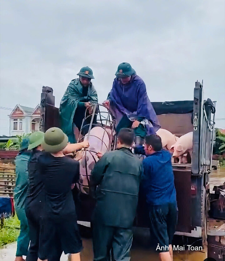 Lực lượng chức năng tỉnh Bắc Ninh giúp người dân di chuyển tài sản ra khỏi vùng lũ.