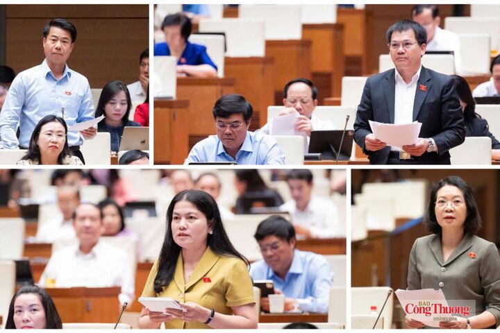 Các đại biểu Quốc hội thảo luận tại hội trường về dự án Bộ Luật hình sự (sửa đổi).