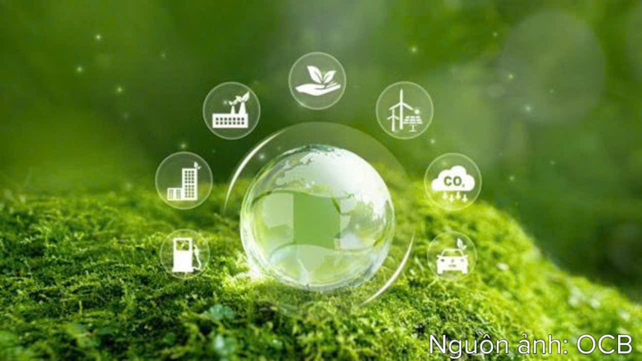 Nguồn vốn xanh được OCB tập trung cho các lĩnh vực đóng vai trò quan trọng trong quá trình chuyển đổi xanh.