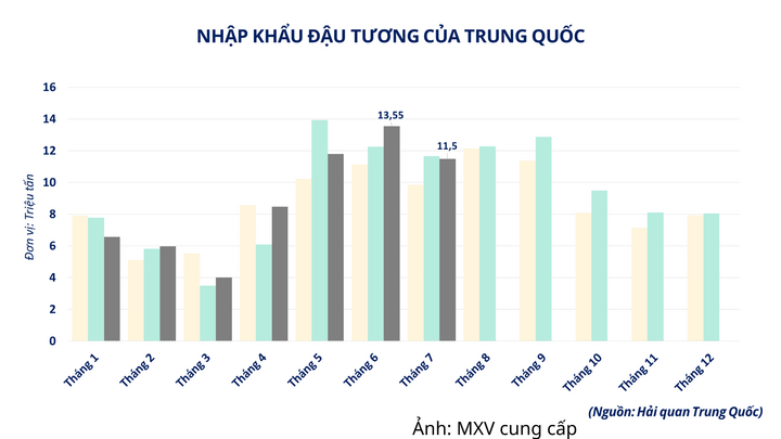 Nhập khẩu đậu tương của Trung Quốc