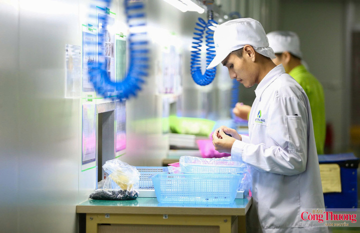 Ngành điện tử chuẩn bị bước vào mùa cao điểm, nhiều dư địa cho tăng trưởng xuất khẩu